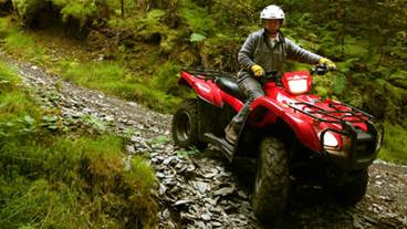 ATV-D