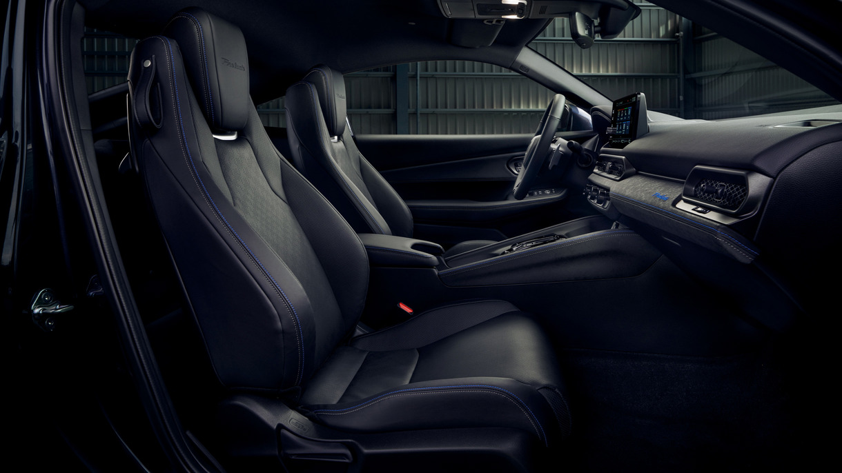 Luksuslik nahkpolster